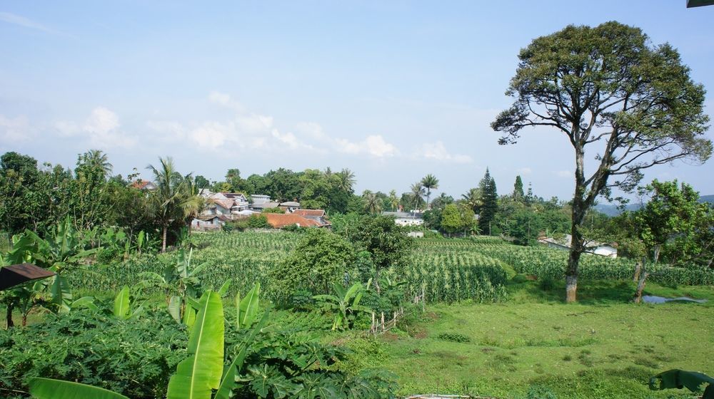 Hotel D'Agape Meeting & Conference Puncak Exterior foto